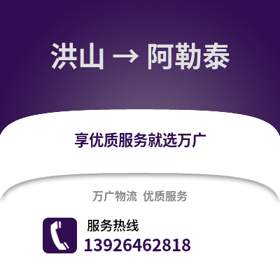 武漢洪山到阿勒泰物流專線_武漢洪山到阿勒泰貨運專線公司