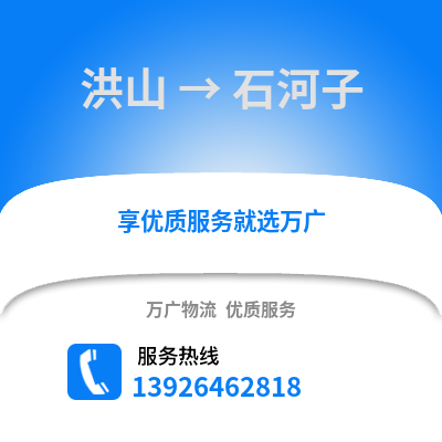武漢洪山到石河子物流專線_武漢洪山到石河子貨運專線公司