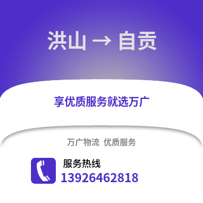 武漢洪山到自貢物流專線_武漢洪山到自貢貨運專線公司