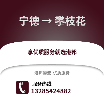 寧德到攀枝花物流專(zhuān)線_寧德到攀枝花貨運(yùn)專(zhuān)線公司
