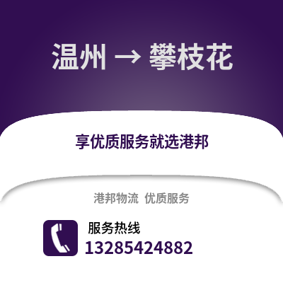 溫州到攀枝花物流公司,溫州到攀枝花貨運,溫州至攀枝花物流專線2