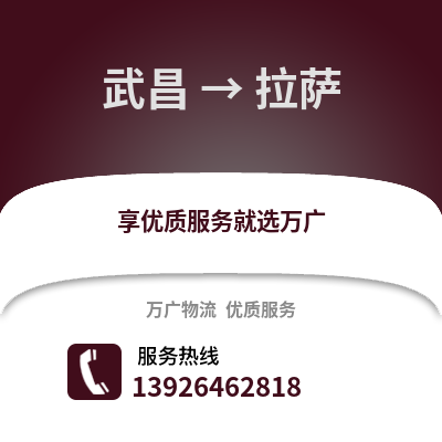 武漢武昌到拉薩物流專線_武漢武昌到拉薩貨運專線公司