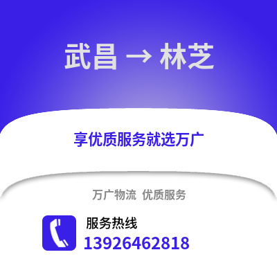 武漢武昌到林芝物流專線_武漢武昌到林芝貨運(yùn)專線公司