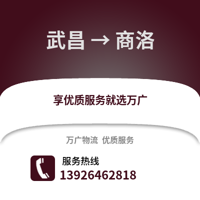 武漢武昌到商洛物流專線_武漢武昌到商洛貨運(yùn)專線公司