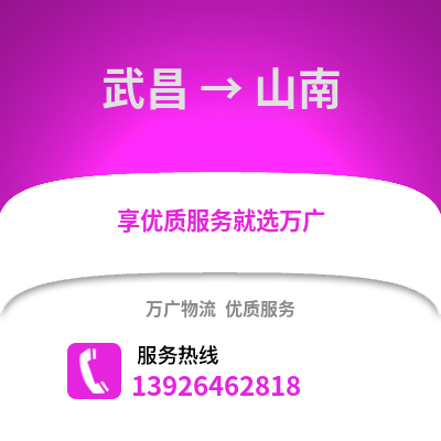 武漢武昌到山南物流專線_武漢武昌到山南貨運專線公司